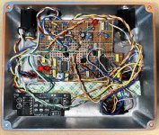 Rock Hi Dry Guts.JPG