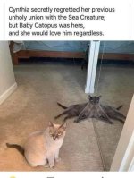 baby catopus.JPG