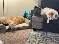 IMG_2200.jpeg