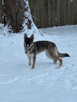 IMG_5690.jpeg