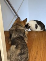 IMG_5692.jpeg