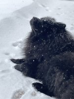 IMG_1449.jpeg
