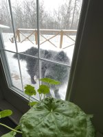 IMG_1453.jpeg