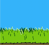 IMG_7954.gif