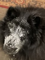 IMG_1462.jpeg