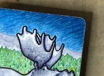 IMG_1103.jpeg
