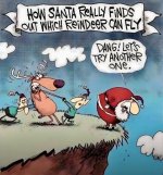 which reindeer can fly.jpg