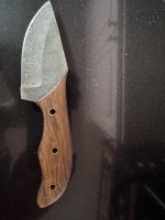 IMG_8935.jpeg