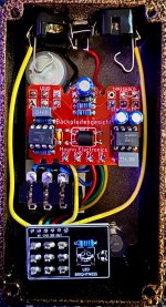 Ugly face Fuzz クローン Ugly Face – evidenti.com