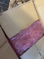 IMG_1600.jpeg
