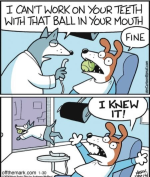 Dog dentist.png