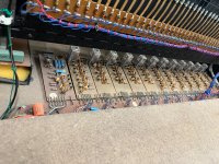IMG_7661.jpeg
