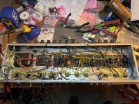 IMG_6180.jpeg