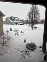 IMG_6185.jpeg