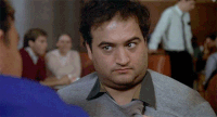 eyebrows (belushi).gif