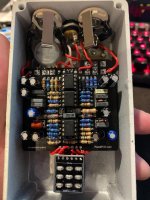 Chiron's Pupil Gut Shot.jpg