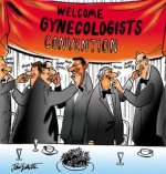 gynecologists convention.jpg