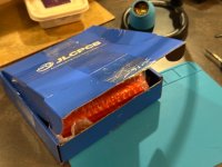 IMG_9239.jpeg
