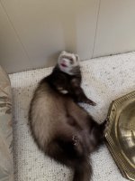 IMG_0092.jpeg