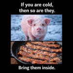 1769910220577.png