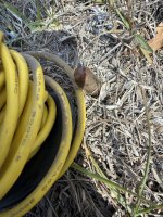 IMG_0110.jpeg