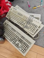 1000003030.jpg