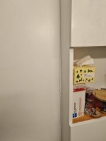 1000003075.jpg