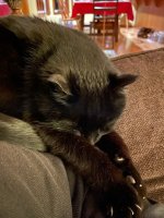 IMG_3978.JPG