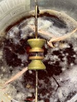 IMG_0075.jpeg