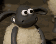 shaun-the-sheep-sheep.gif