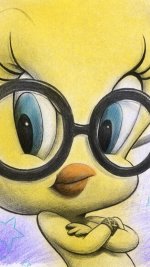 TWEETY BIRD SPECS croppy.jpg