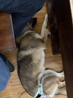 IMG_5832.jpeg