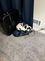 IMG_5834.jpeg