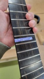 IMG_3513.jpeg