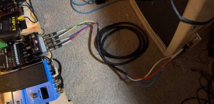 IMG_3716.jpeg