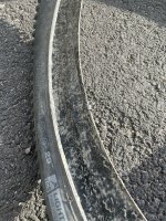 IMG_8142.jpeg