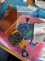 IMG_4890.jpeg