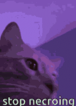 1778713362608.gif