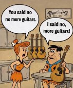 no MORE guitars.jpg