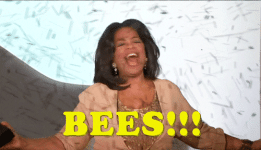 oprah-winfrey-releasing-bees-and-raising-arms-zx66kd0ejdt9oqdp-49545222.gif