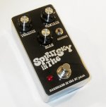 Spirit in the SkyFuzz-01.jpg