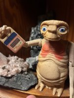 IMG_0387.jpeg