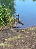 IMG_2664.jpeg