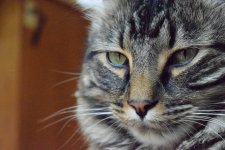 DSC_4312.JPG