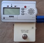 T006.jpg