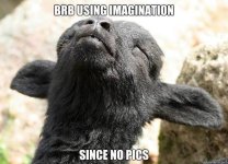 IMG_0406.jpeg