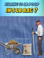 13074.png