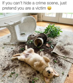 1781973968149.png