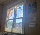 20260620_183343.jpg