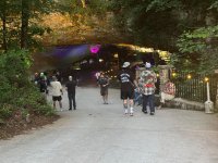 IMG_3929.jpeg